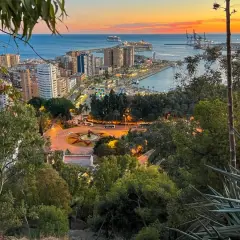 Malaga co zobaczyć: malowniczy widok na port i miasto o zachodzie słońca, z zielenią w pierwszym planie.
