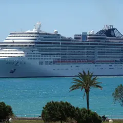 Ogromny statek wycieczkowy MSC Divina płynie po turkusowym morzu, z palmami i zielenią na pierwszym planie.