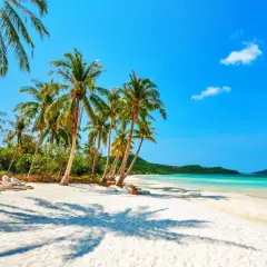 Idealne miejsce, gdzie na wakacje w październiku: piaszczysta plaża, palmy, turkusowa woda i leżaki czekają na Ciebie.