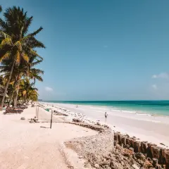 Rajska plaża z palmami i turkusową wodą. Tak właśnie wygląda Zanzibar, gdzie jest raj na ziemi.