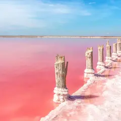 Alicante różowe jezioro, z drewnianymi słupkami pokrytymi solą, tworzy surrealistyczny krajobraz pod błękitnym niebem.