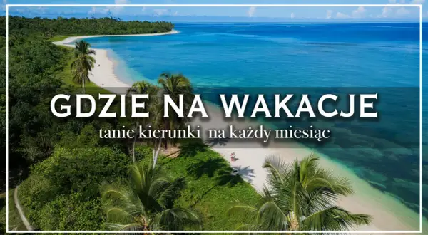 Rajska plaża z palmami i turkusową wodą. Idealne miejsce, by zaplanować, gdzie na wakacje 2026.