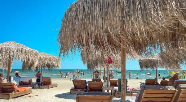 Słoneczne wakacje w Rumunii nad Morzem Czarnym. Leżaki i parasole z trawy na piaszczystej plaży, w tle kąpielowicze.