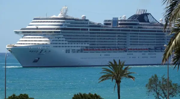 Ogromny statek wycieczkowy MSC Divina płynie po turkusowym morzu, z palmami i zielenią na pierwszym planie.
