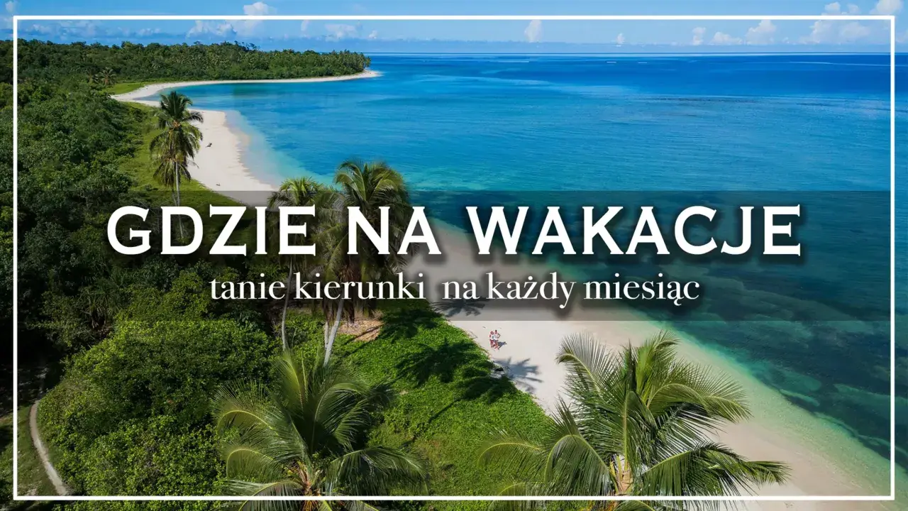 Rajska plaża z palmami i turkusową wodą. Idealne miejsce, by zaplanować, gdzie na wakacje 2026.