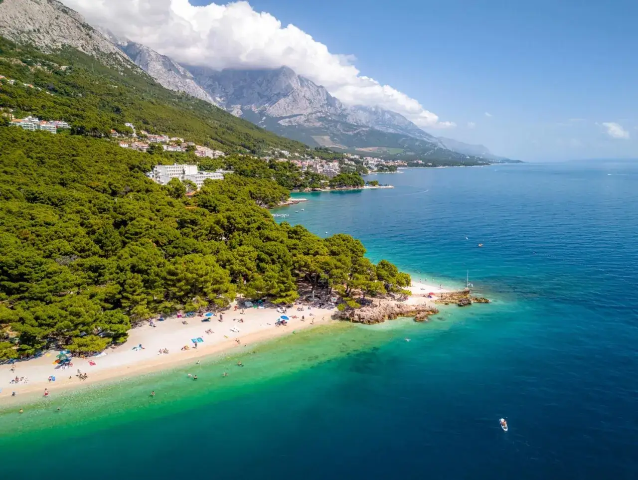 Malownicza plaża na Makarskiej Riwierze, z turkusową wodą, sosnowym lasem i górami w tle.