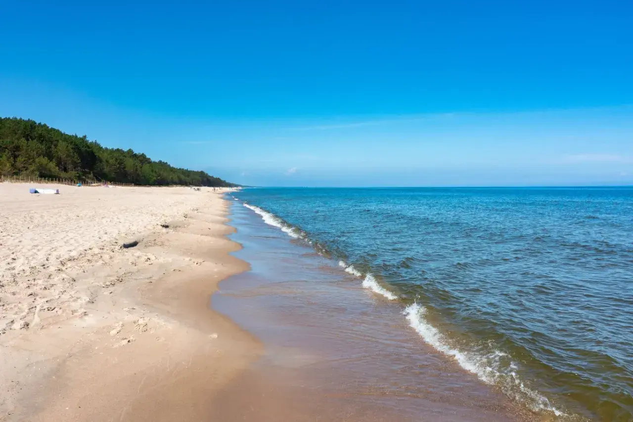 Piękna, piaszczysta plaża nad Bałtykiem, z lasem sosnowym w tle. Idealne miejsce na wakacje, gdzie ceny nad morzem są przystępne.