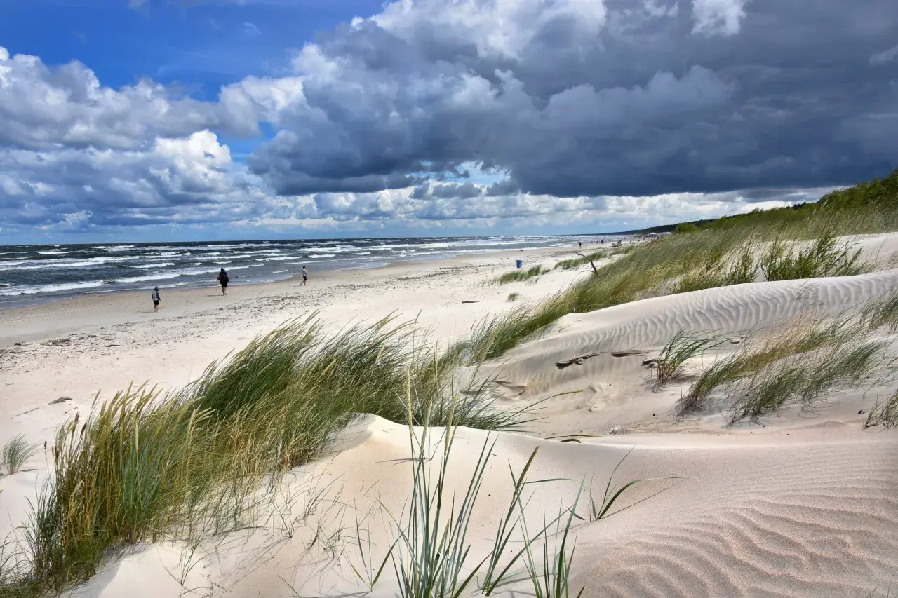 Piaszczyste wydmy porośnięte trawami na Mierzei Wiślanej. W oddali widać morze i kilka osób spacerujących po plaży.