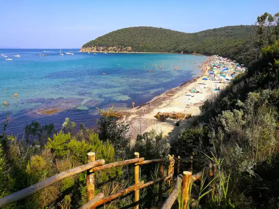 Plaże Livorno i skaliste zatoki - gdzie warto pojechać?